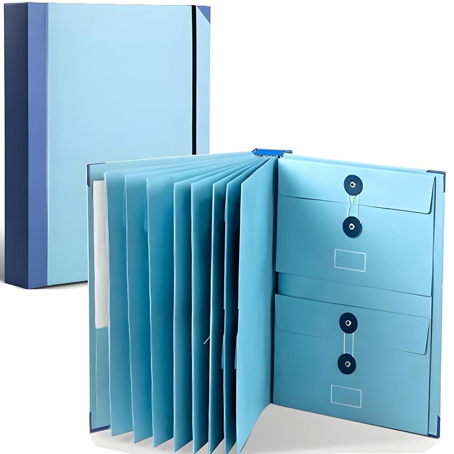 DOCUMENT ORGANISER WITH LABELS
